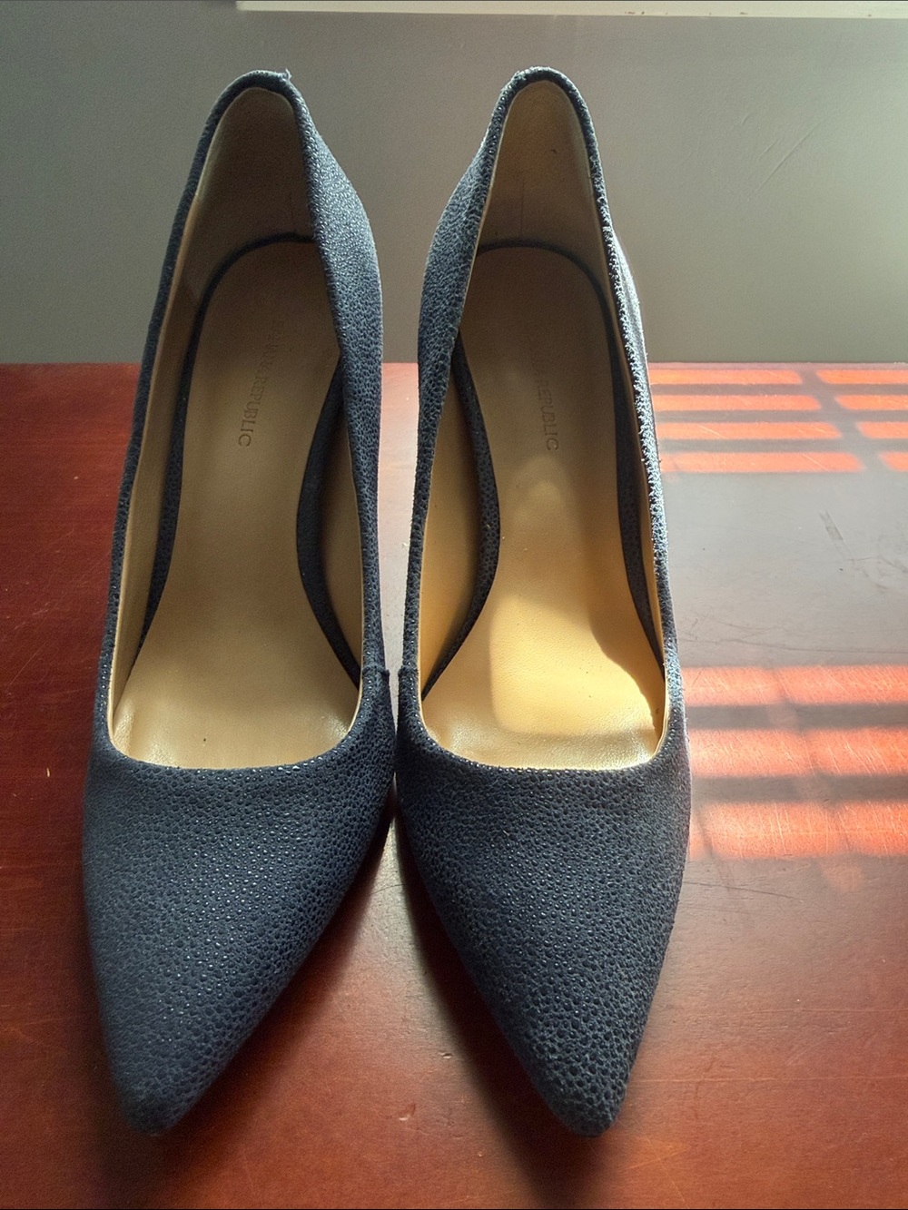 Banana Republic Navy Pointed Toe High Heels